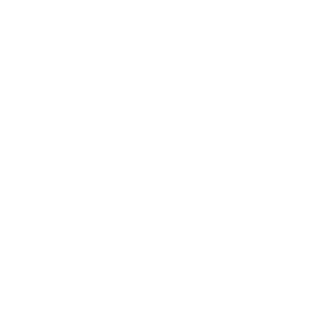 Logo Benelli