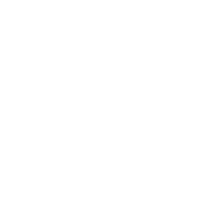 Logo BNI