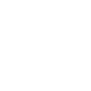 Logo Ingessa